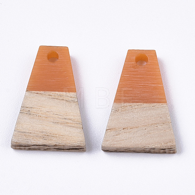 Resin & Wood Pendants RESI-S358-52-1