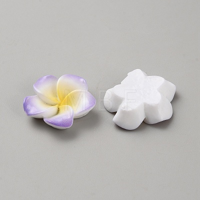 Two Tone Resin Cabochons LS-RESI-WH20010-01A-1