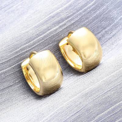 Brass Hoop Earrings EJEW-Q015-21C-G-1