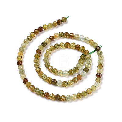 Natural Green Garnet Beads Strands G-C009-A25-1