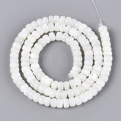 Natural Trochid Shell/Trochus Shell Beads Strands BSHE-T014-54A-1