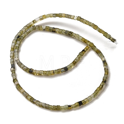 Natural Labradorite Beads Strands G-B064-A32-1