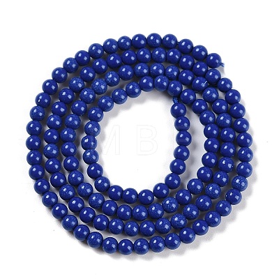 Synthetic Turquoise Beads Strands G-U004-02A-1