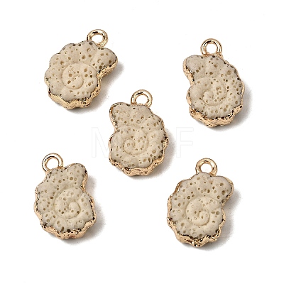 Dyed Synthetic Lava Rock Pendants G-P614-05G-03-1