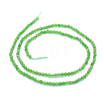 Natural Diopsidel Beads Strands G-I279-E01-01-1