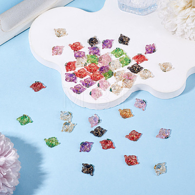 50Pcs Translucent Resin Cabochons RESI-TA0005-66-1