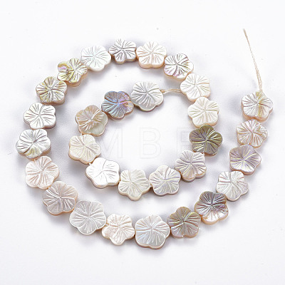 Electroplated Natural Freshwater Shell Beads Strands SHEL-N026-164-1