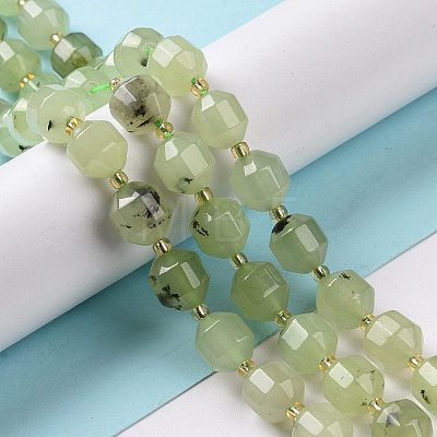 Natural Prehnite Beads Strands G-G990-F09-1