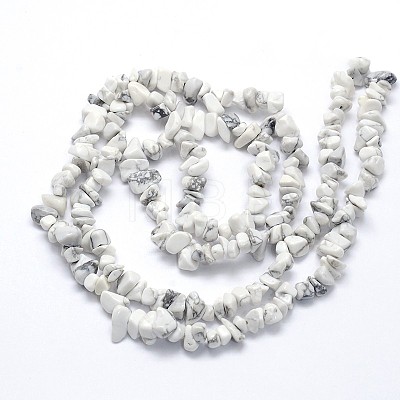 Natural Howlite Beads Strands G-O049-B-40-1