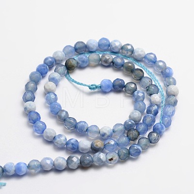 Faceted Natural Agate Round Beads Strands G-E318B-4mm-02-1
