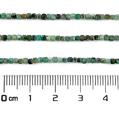 Natural African Turquoise(Jasper) Beads Strands G-A02-02-1