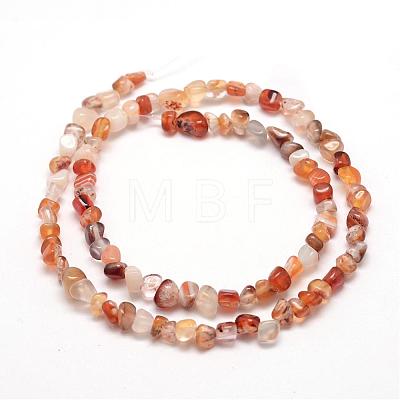 Dyed Natural Carnelian Beads Strands G-F465-22-1