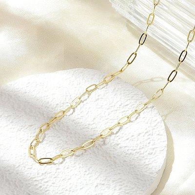 Brass Paperclip Chain Necklaces NJEW-A042-17G-02-1