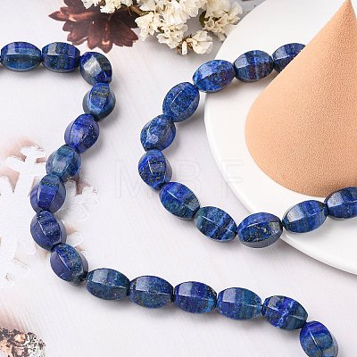 Natural Lapis Lazuli Beads Strands G-K311-09C-1
