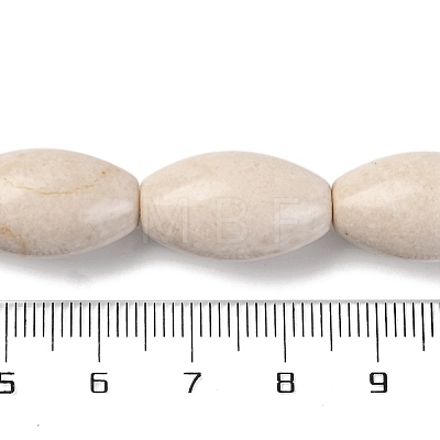 Natural Fossil Beads Strands G-H040-C02-01-1