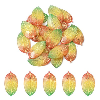 Transparent Acrylic Pendants TACR-YW0001-87A-1
