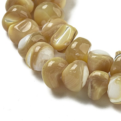 Natural Trochus Shell Beads Strands BSHE-G039-01A-1