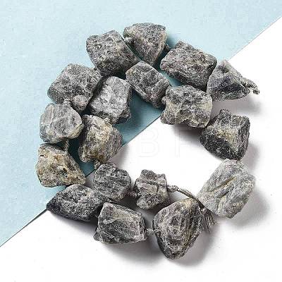 Raw Rough Natural Labradorite Beads Strands G-J388-A07-01-1