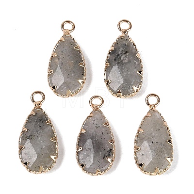 Natural Labradorite Faceted Pendants G-Q606-104G-04-1