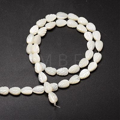 Natural Trochid Shell/Trochus Shell Beads Strands SSHEL-K015-04-1