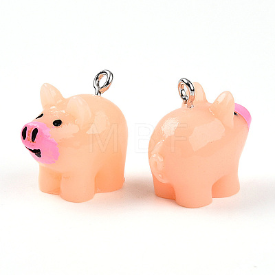 Resin with Iron Pendants RESI-T057-19-1