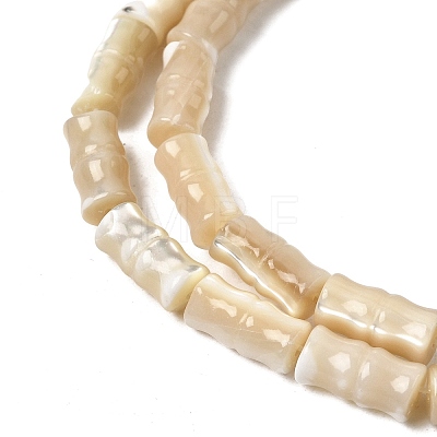Natural Trochid Shell/Trochus Shell Beads Strands SHEL-A006-06B-1