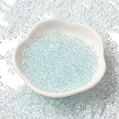 Transparent Colours Glass Seed Beads SEED-P007-02A-09-1