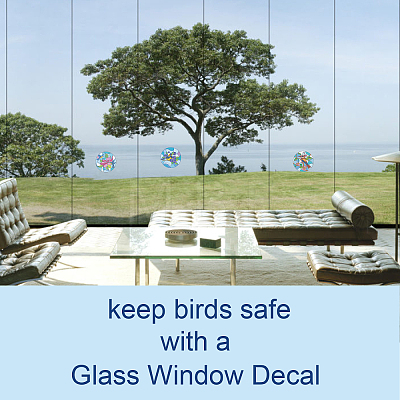 Flat Round PVC Plastic Self Adhesive Window Decorations Accessories AJEW-WH0182-010-1