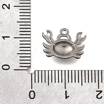 Ocean Series 304 Stainless Steel Charms STAS-H477-01B-P-1