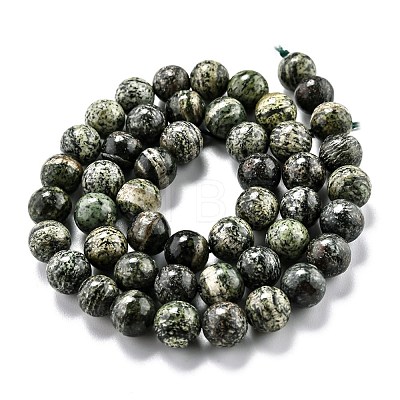 Natural Green Zebra Jasper Beads Strands G-L574-05B-1