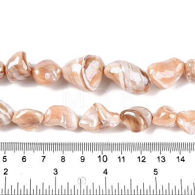 Natural Trochid Shell/Trochus Shell Beads Strands SSHEL-T017-01-1