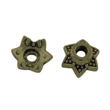 6-Petal Tibetan Style Alloy Bead Caps TIBEP-R304-117AB-LF-1