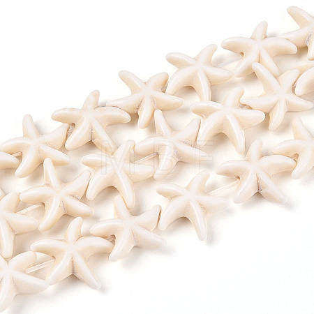 Gemstone Beads Strands X-TURQ-S210-1-1