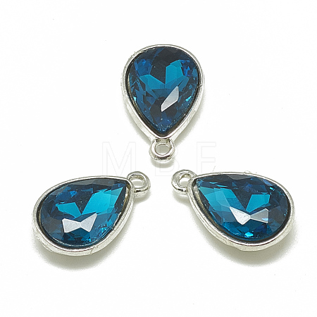 Alloy Glass Pendants PALLOY-T028-10x14mm-14-1