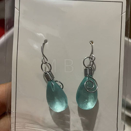 Resin & Alloy Dangle Earrings WG626EB-01-1