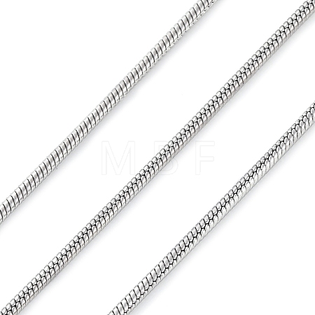 304 Stainless Steel Round Snake Chains CHS-M009-01P-03-1