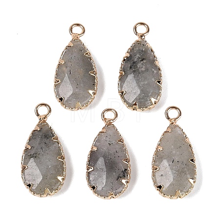 Natural Labradorite Faceted Pendants G-Q606-104G-04-1