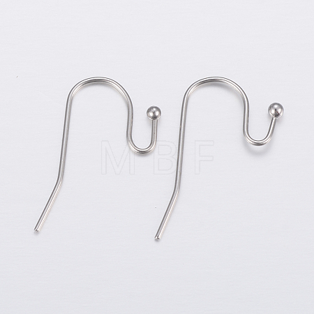 Tarnish Resistant 304 Stainless Steel Earring Hooks X-STAS-H448-01P-1