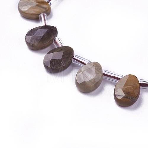 Natural Petrified Wood Beads Strands G-I246-07-1