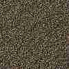 TOHO Round Seed Beads SEED-TR11-0204-2