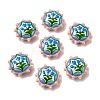 Baking Paint Glass Enamel Beads LAMP-K039-34J-1