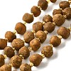 Raw Rough Natural Amber Beads Strands G-U023-D01-2