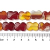 Natural Red Agate Beads Strands G-K359-D01-01-5