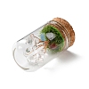 Natural Mixed Gemstone Chips Money Tree in Dome Glass Bell Jars with Wood Base Display Decorations DJEW-K030-02-3