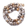 Natural Shell Beads Strands SH-CBA2978-03-3