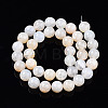 Natural Crackle Agate Beads Strands G-S359-240B-2-2