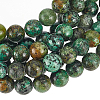 GOMAKERER 2 Strands Natural African Turquoise(Jasper) Beads Strands G-GO0007-09-1