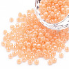 6/0 Imitation Jade Glass Seed Beads X1-SEED-N004-006-24-1
