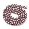 Baking Painted Pearlized Glass Pearl Round Bead Strands PEAR-H019-02A-03-3