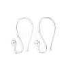 Brass Earring Hooks KK-G604-04S-1